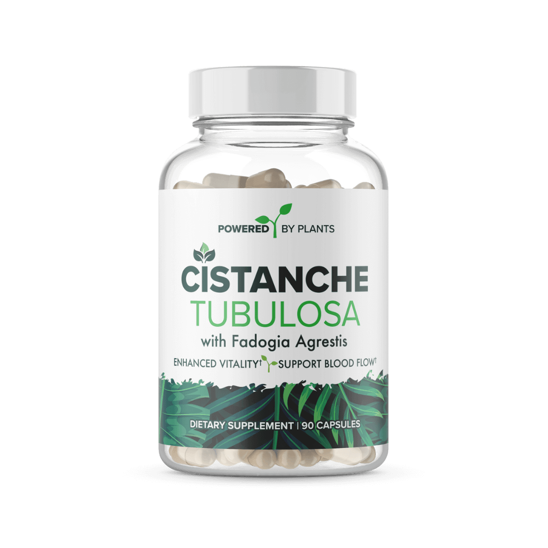 Cistanche Capsules - Powered by Plants