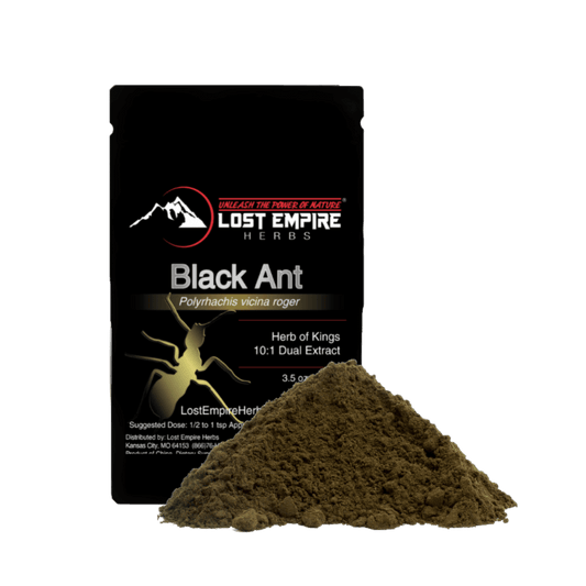 Black Ant Extract Powder